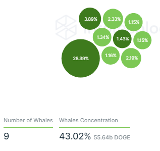 Doge Whales (Source: intotheblock)