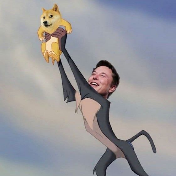 Elon Musk famously carrying Doge with his tweets