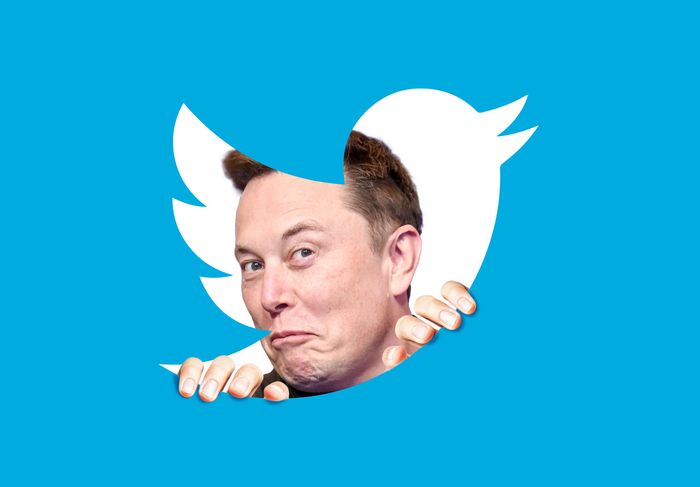 Elon Musk Twitter Shares: MISTAKE vs DeSo ?!
